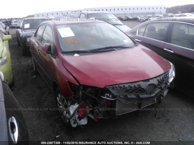 JTDBU4EE8C9172835 - 2012 TOYOTA COROLLA S/LE RED photo 1