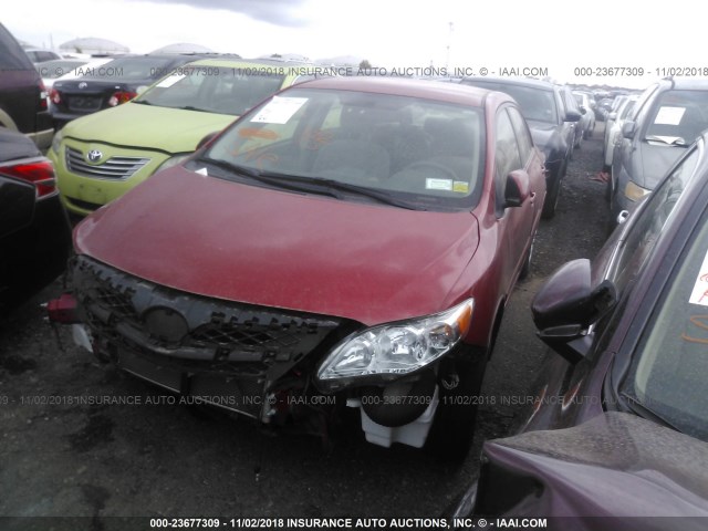 JTDBU4EE8C9172835 - 2012 TOYOTA COROLLA S/LE RED photo 2