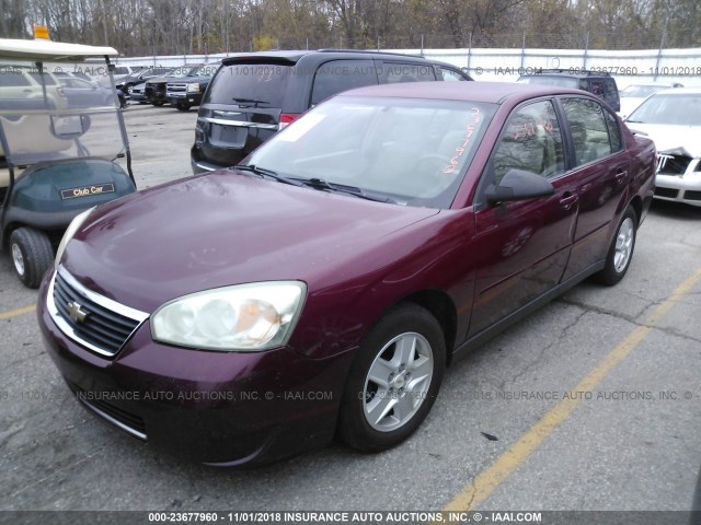 1G1ZT52875F299983 - 2005 CHEVROLET MALIBU LS Tünd qırmızı foto 2