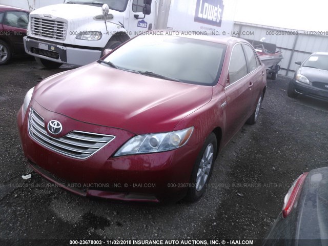 JTNBB46K773041846 - 2007 TOYOTA CAMRY NEW GENERAT HYBRID RED photo 2