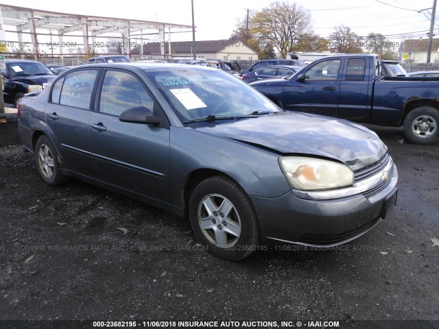 1G1ZT54835F244072 - 2005 CHEVROLET MALIBU LS Boz foto 1