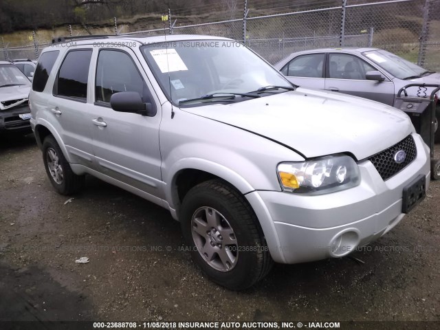 1FMCU94145KB29410 - 2005 FORD ESCAPE LIMITED Pewter photo 1