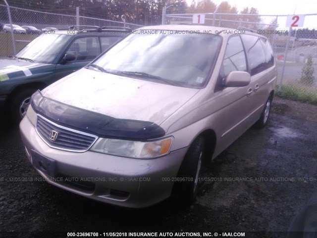 2HKRL18661H540423 - 2001 HONDA ODYSSEY EX GOLD photo 2