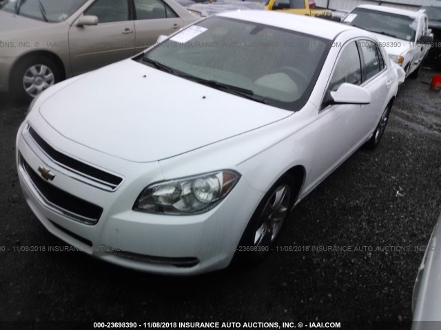 1G1ZC5EB0A4131809 - 2010 CHEVROLET MALIBU 1LT WHITE photo 2