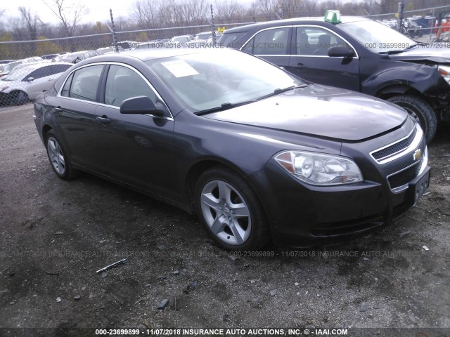 1G1ZB5EB7AF260332 - 2010 CHEVROLET MALIBU LS ყავისფერი ფოტო 1