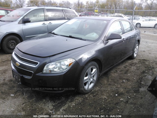1G1ZB5EB7AF260332 - 2010 CHEVROLET MALIBU LS ყავისფერი ფოტო 2