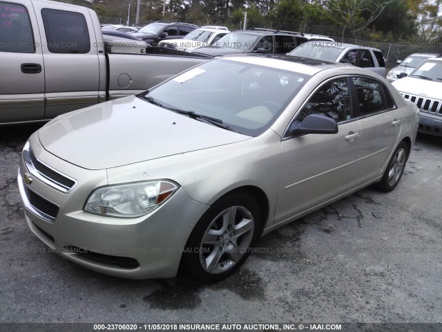 1G1ZB5EB7AF242106 - 2010 CHEVROLET MALIBU LS 金色 照片 2