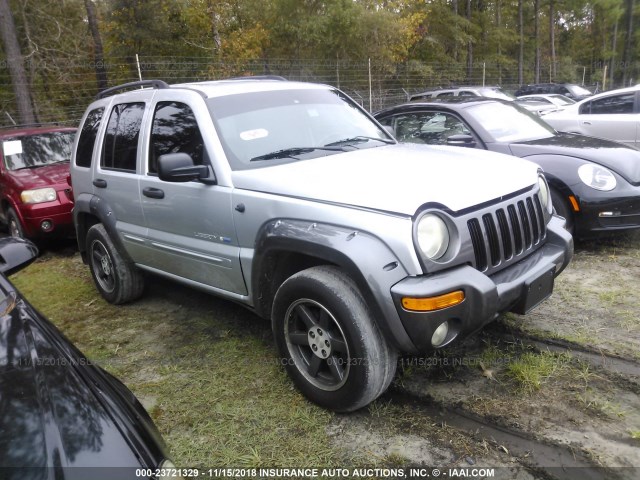 1J4GK48K43W685346 - 2003 JEEP LIBERTY SPORT/FREEDOM SILVER photo 1