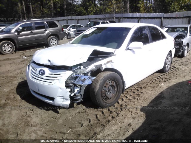4T1BE46K49U812137 - 2009 TOYOTA CAMRY SE/LE/XLE WHITE photo 2