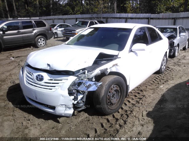 4T1BE46K49U812137 - 2009 TOYOTA CAMRY SE/LE/XLE WHITE photo 6