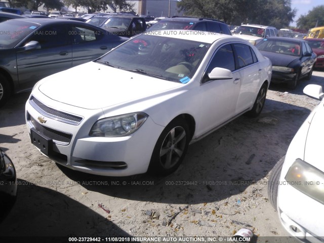 1G1ZC5E17BF252673 - 2011 CHEVROLET MALIBU 1LT WHITE photo 2