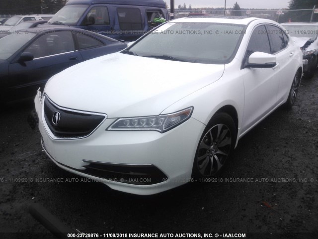 19UUB1F53FA017853 - 2015 ACURA TLX TECH თეთრი ფოტო 2