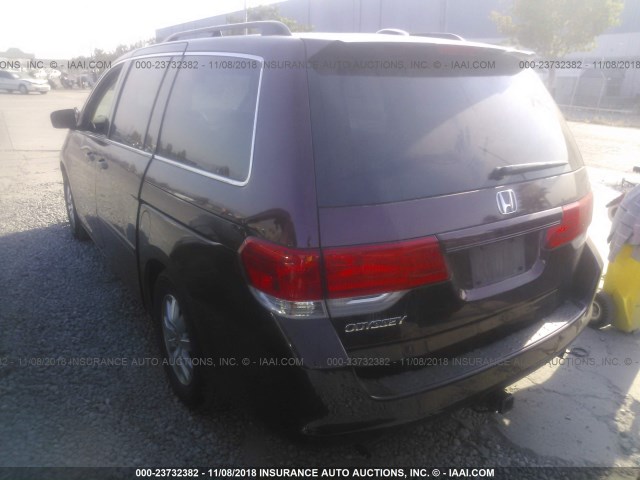 5FNRL3H62AB013084 - 2010 HONDA ODYSSEY EXL BURGUNDY photo 3