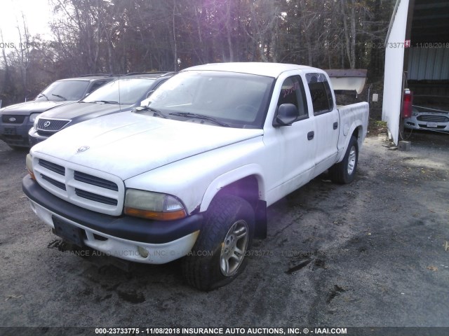 1B7GG2AX81S137808 - 2001 DODGE DAKOTA QUAD WHITE photo 2