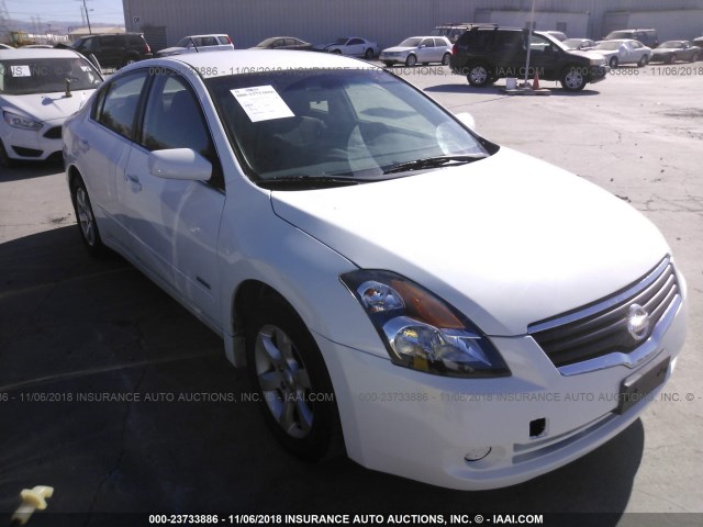 1N4CL21E79C156919 - 2009 NISSAN ALTIMA HYBRID WHITE photo 1