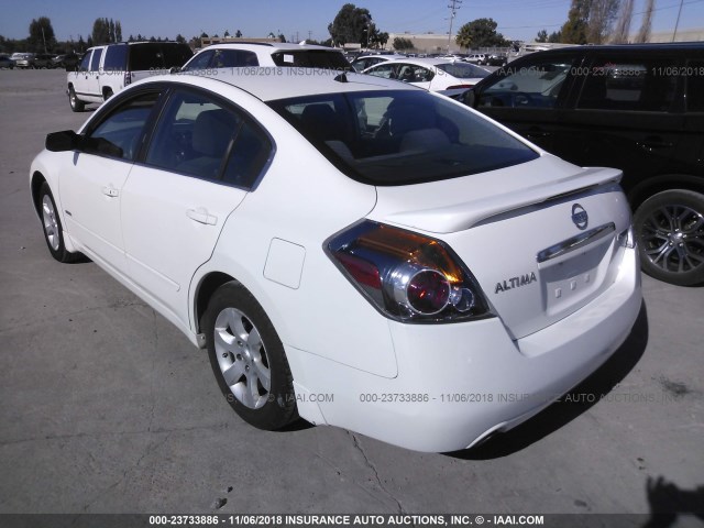 1N4CL21E79C156919 - 2009 NISSAN ALTIMA HYBRID WHITE photo 3