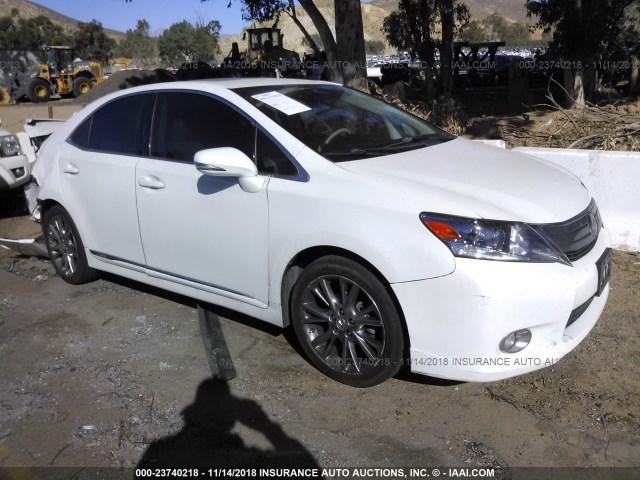 JTHBB1BA3A2004823 - 2010 LEXUS HS 250H WHITE photo 1