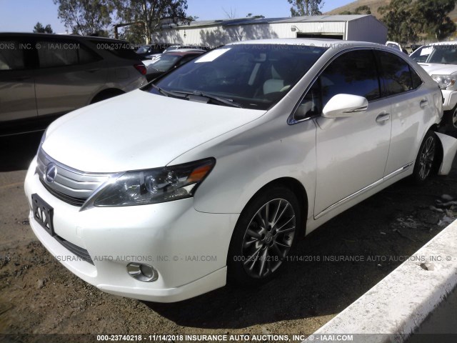 JTHBB1BA3A2004823 - 2010 LEXUS HS 250H WHITE photo 2