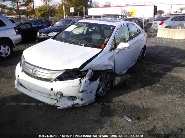 JTHBB1BA5B2043480 - 2011 LEXUS HS 250H WHITE photo 2