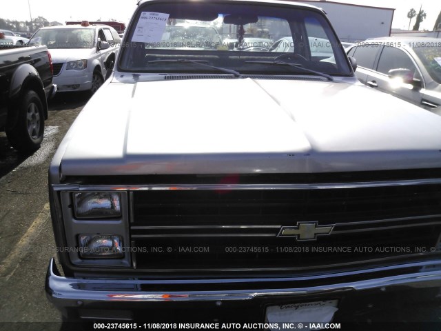 1GCDC14H6BZ123251 - 1981 CHEVROLET C10 GRAY photo 6