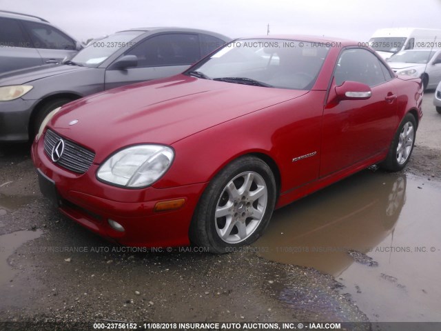 WDBKK49F24F301064 - 2004 MERCEDES-BENZ SLK 230 KOMPRESSOR RED photo 2