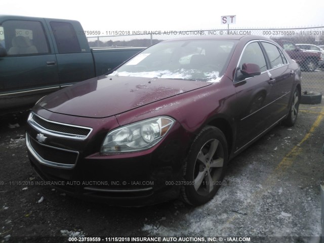 1G1ZJ57B19F210618 - 2009 CHEVROLET MALIBU 2LT MAROON photo 2