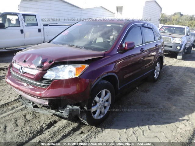 JHLRE38737C068400 - 2007 HONDA CR-V EXL RED photo 2