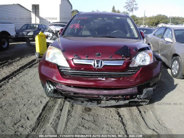 JHLRE38737C068400 - 2007 HONDA CR-V EXL RED photo 6