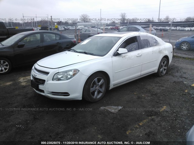 1G1ZC5E19BF106176 - 2011 CHEVROLET MALIBU 1LT WHITE photo 2
