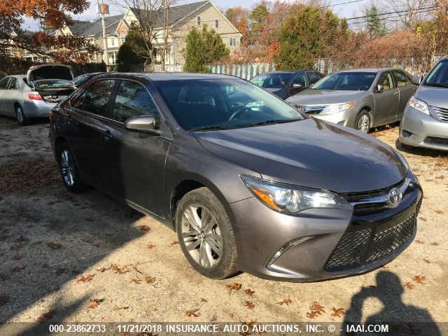 4T1BF1FKXHU671407 - 2017 TOYOTA CAMRY LE/XLE/SE/XSE GRAY photo 1