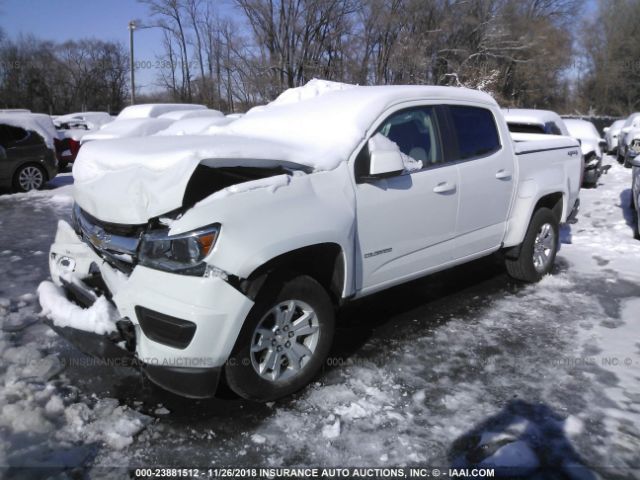 1GCGTCENXK1106755 - 2019 CHEVROLET COLORADO LT WHITE photo 2